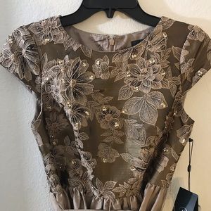 Adrianna Papell Beautiful Dress, Size 2